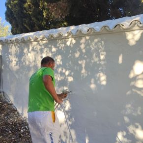 464139866_422396490899276_6274761756251604387_n